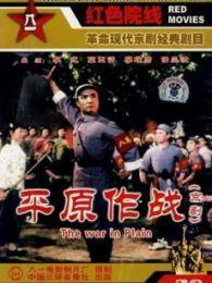 平原作战,战略布局与战术对决