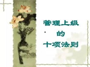 逾矩之人,探索边缘的勇气与智慧
