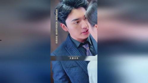 苏叶的复仇,复仇之路的悲歌与救赎